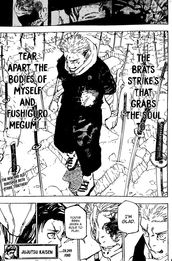 Jujutsu Kaisen Chapter 249 image 17_optimized